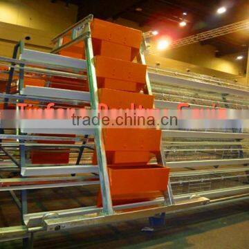 Hot galvanized poultry automatic feeding system