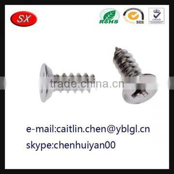 Gunagdong Province Stainless Steel Galvanized Pan Head Screw photo-5
