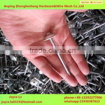 Kenya price roofing nails