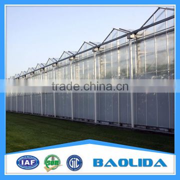 Factory Price PC Sheet Covered Agricultural Greenhouse For Vegetable Seeds