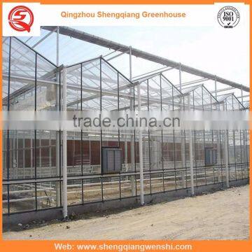 High Quality 8.0m Multi-span Glass Greenhouse Grow Tent for Agriculture photo-2