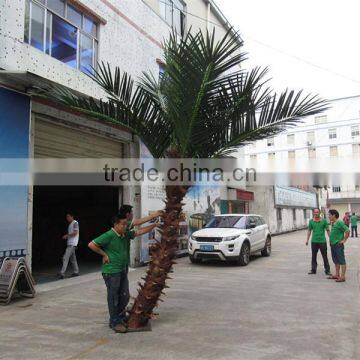 CHY020934 High quality palm tree for landscaping decoration