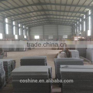 Ice Cristall Gamma Bianco New G603 Granite Flamed Finished 50mm Thick Plate photo-6