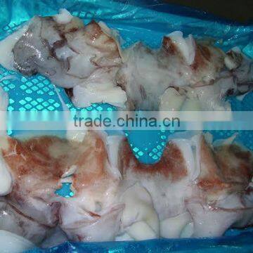 Frozen Giant Squid Raw Necks photo-4
