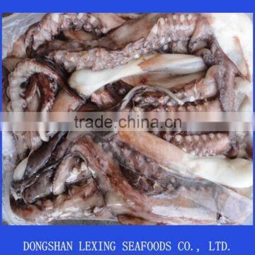 Frozen Peru Giant Squid Tentacle photo-2