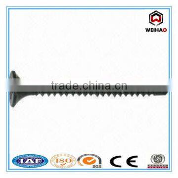 3.5 x 28mm Bugle Head Drywall Screw for Dubai photo-4