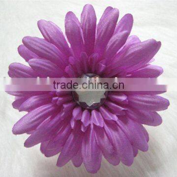 Gerbera daisy