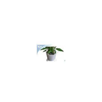 Intellectual Usb flowerpot,planting memory recorded by PC,with LED indication
