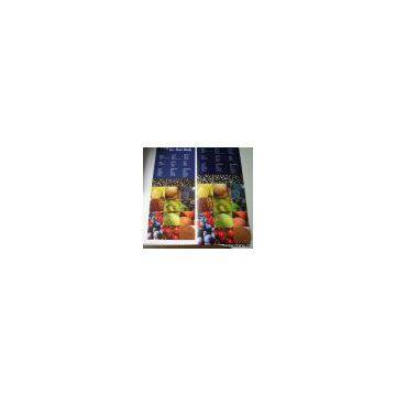 Digital printing banner graphic