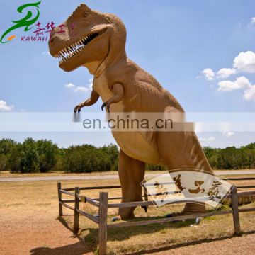 Outdoor equipment fiberglass life size dinosaurs model