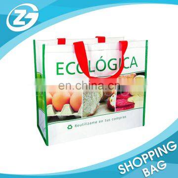 Advertising Eco-friendly Reusable Cheap Bag PP Woven Knitted