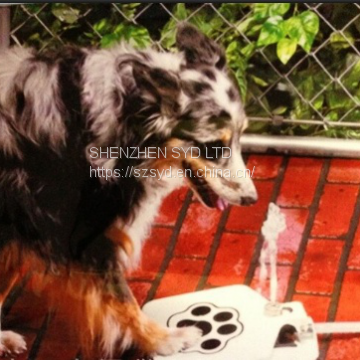 Dog Cat Pet Paw water drinking foundtain
