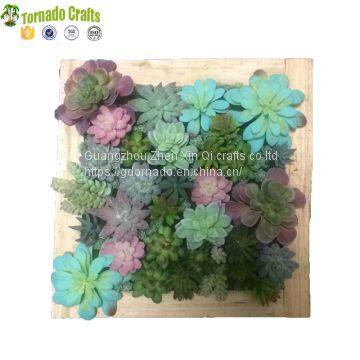 50*50cm Artificial Succulent Plants Plastic Ferns Green Grass Photo Frame Wall Decoration Flowers Home photo-4