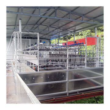 Best Selling Digital Meter Modern Cow Goat Automatic Milking Parlor for Big Farm Equipment photo-4