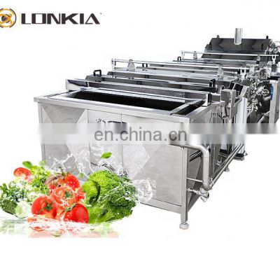 Tunnel type industrial fruit vegetable blanching machine processing