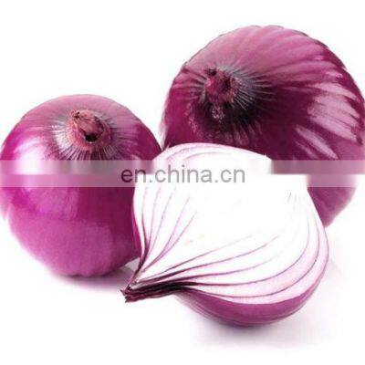 Frozen onion with fresh material pure natural