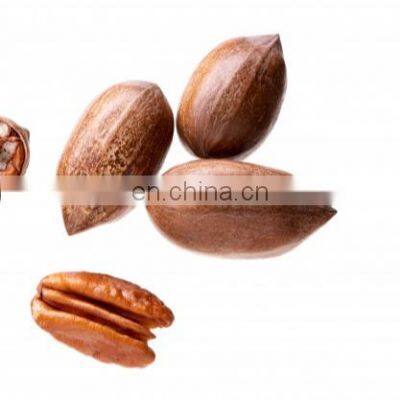 Guangzhou Organic Quebradira Y Seoaradora Nuez Pecan Honey Pecan Shelled Pecan photo-4