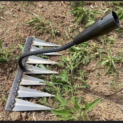 All steel hardened nail tines grass harrow digging wild vegetables lawn loosening rakes hand garden sweeping tool weeding rake