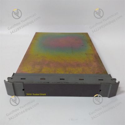 ICS Triplex T8191 Digital Input Module photo-2