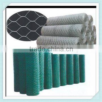 Aquaculture used with green Coated Hexagonal Wire Mesh