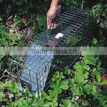 live animal cage trap