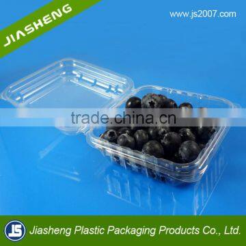 Hot Selling Plastic Transparent Hinged Blister Packaging Boxes for Blueberry and Strawberry