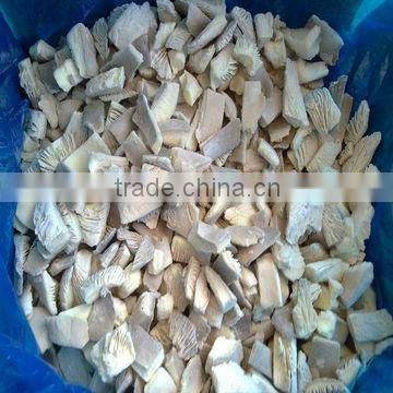 A Grade Frozen Oyster Mushroom