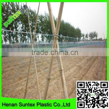 Strong Durable Pro-Net Plant Support Scrog Net GrowTent Mesh Netting photo-4