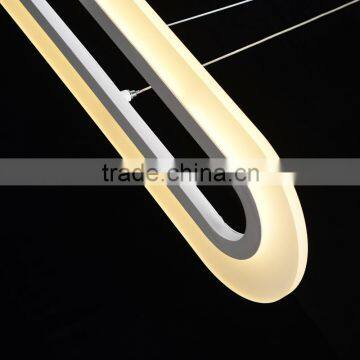 Modern LED Pendant Lamp (HS30050DLN) photo-3