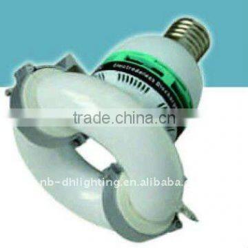 round electrodeless lamp