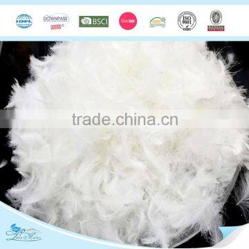 Hot Selling Washed Duck Feather