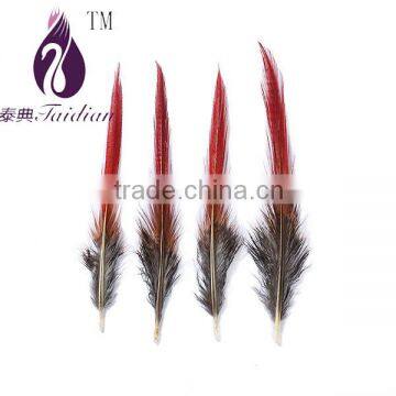 red sword natural feathers bulk ,chicken pheasant feather