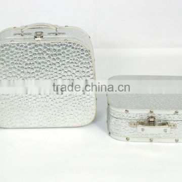 Simple silver alligator rounded square storage suitcase