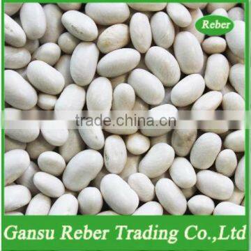 Japanese White Kidney Beans