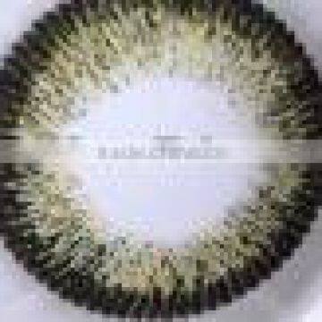 ICE II Color Contact Lens 2015 Color Contact Lenses photo-3