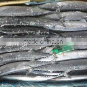 2016 Newly processed high quality products pacific saury #1from China