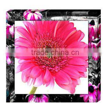 Red sunflower art design stretched canvas prints