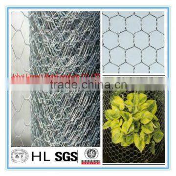 China cheap Stainless Steel Hexagonal Wire Netting/ fence netting/ woven mesh/ animal catching nets