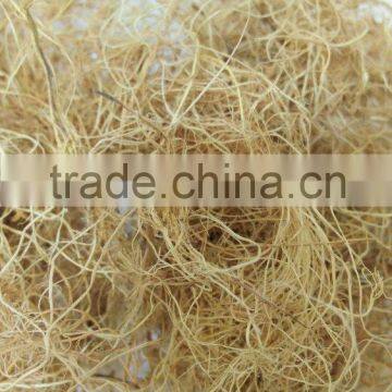 Natural Palm Fiber