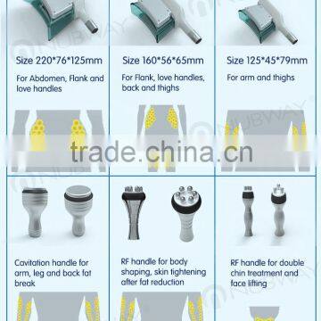 5 Treatment Handles Vacuum Cavitation System Beauty Equipment Laser Body Sculpting Machine for Whole Body Treatment photo-5