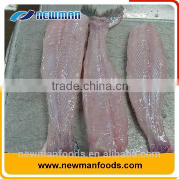 Top quality frozen basa fillets from Vietnam leading factory at low price