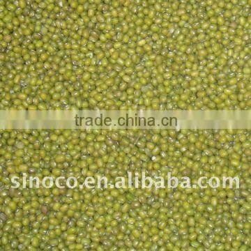 Mung Bean