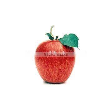 [super Deal] Fresh Sweet Apples