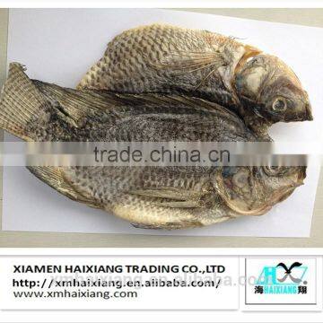 Wholesale frozen fish tilapia