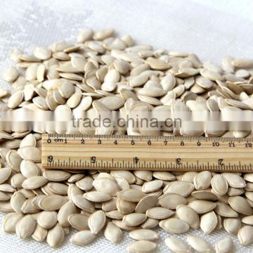 Yellow pumpkin seed and snow white pumpkin seeds in pumpkin kernel