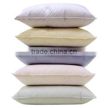 European standard goose down cushion