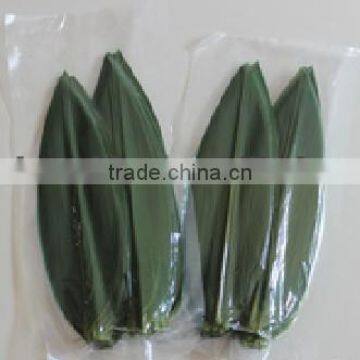 fresh bamboo leaves leaf