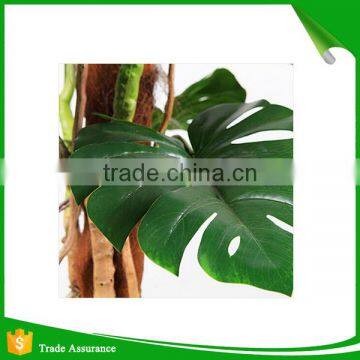 Wholesale Greenery Artificial Monstera Plants photo-4