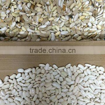 Grain Color Sorter for Sorting Different Coarse Cereals photo-4
