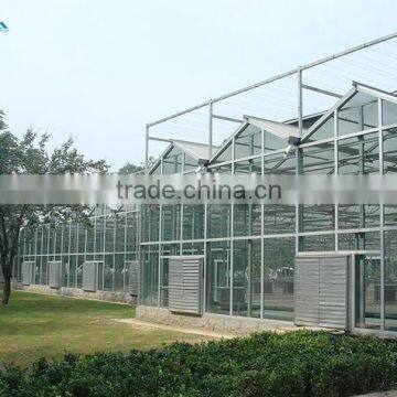 Modern Appearance Used Greenhouse Sale/greenhouses for Tomatoes for Sale/commercial Greenhouse for Sale photo-6